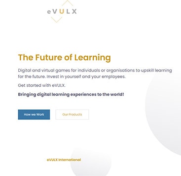 web designer malaysia,website designer malaysia,zahid aramai