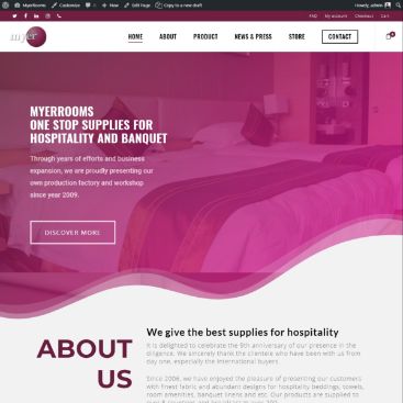 web designer malaysia,website designer malaysia,zahid aramai