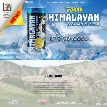 web designer malaysia,website designer malaysia,zahid aramai