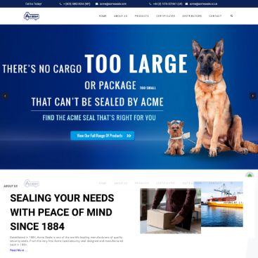 web designer malaysia,website designer malaysia,zahid aramai