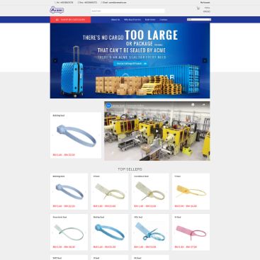 web designer malaysia,website designer malaysia,zahid aramai