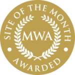 web designer malaysia,website designer malaysia,zahid aramai